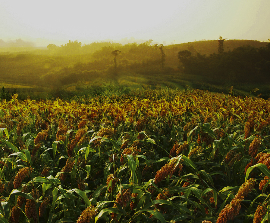 凯发一触即发(中国)官方网站